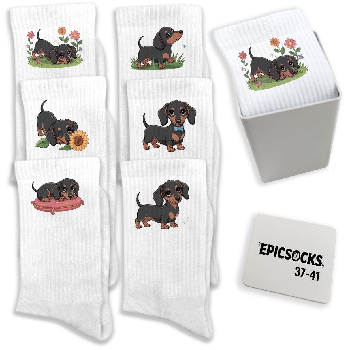 epicsocks Dackel Dreams Socken in 37-41 im 6er Set in Geschenkdose im 6er Set in Geschenkbox