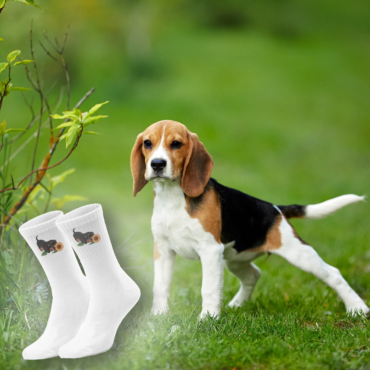 epicsocks Dackel Dreams Sonnenblume Socken in 37-41 im Paar