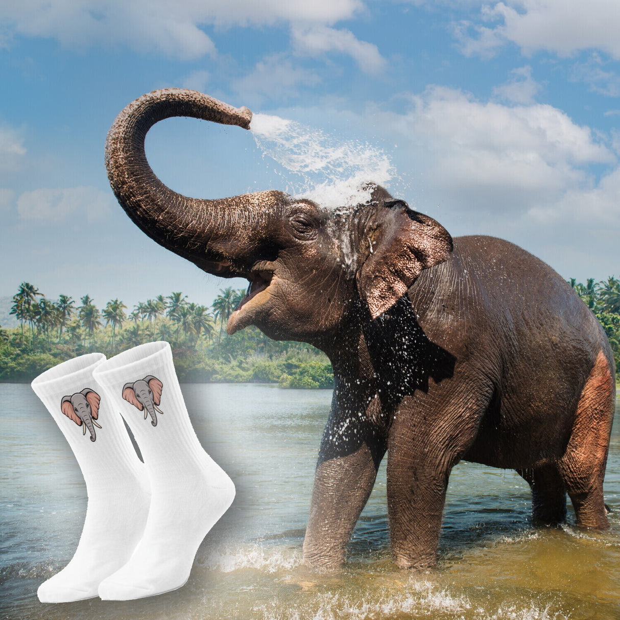 epicsocks Big Six Safari Elefant Socken in 37-41 im Paar