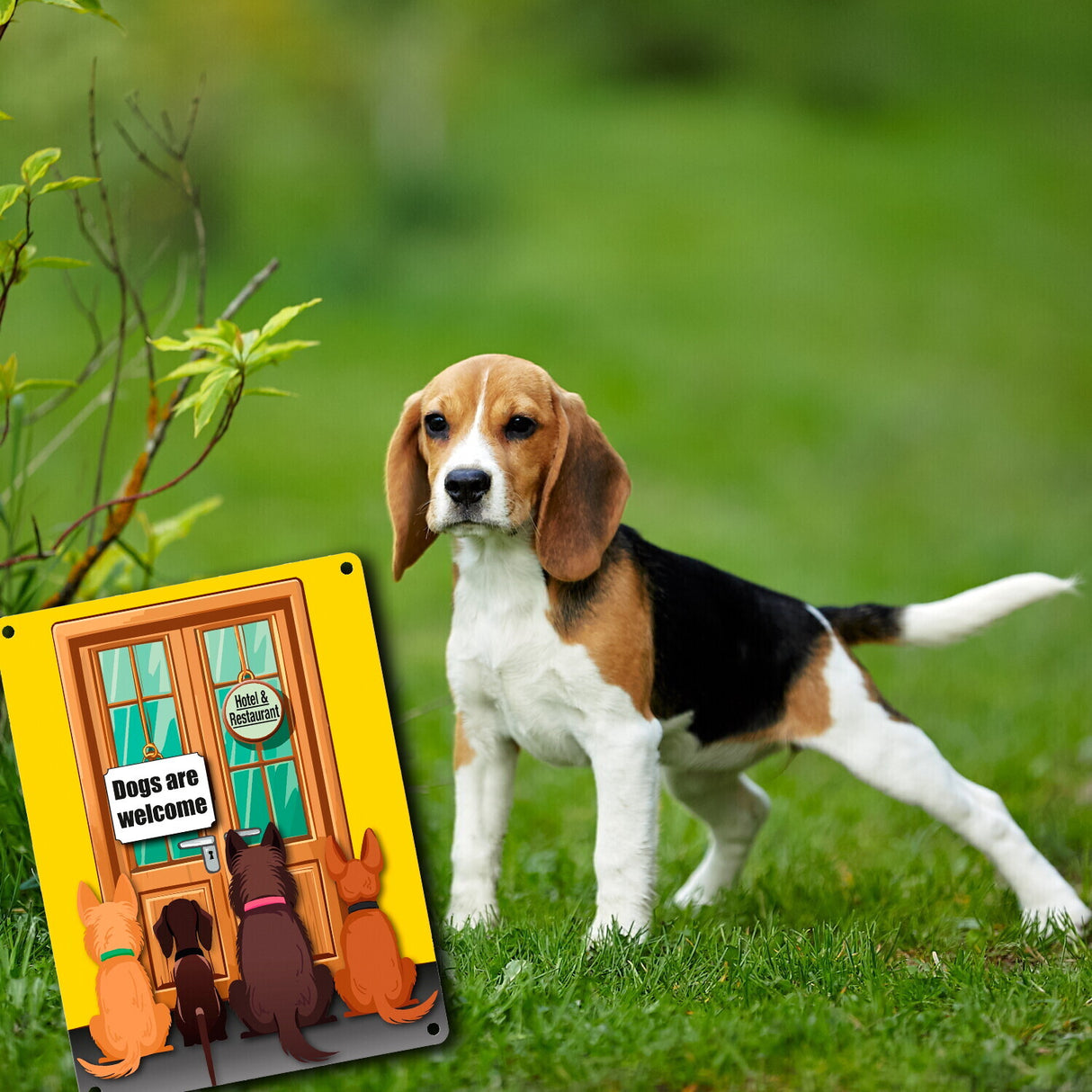 Hotel Türe Metallschild in 15x20 cm mit Spruch: Dogs are welcome