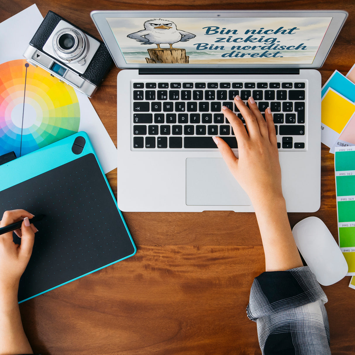 Möwe am Strand Souvenir Souvenir Magnet mit nordischem Humor