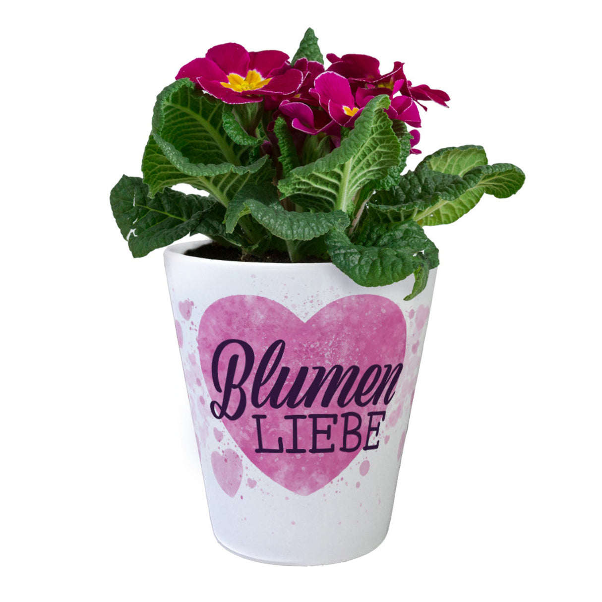 Blumenliebe mit rosa Herzen Blumentopf