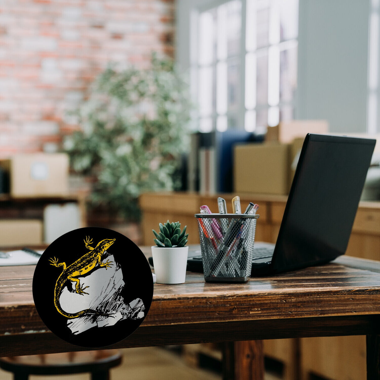 Eidechse Magnet rund