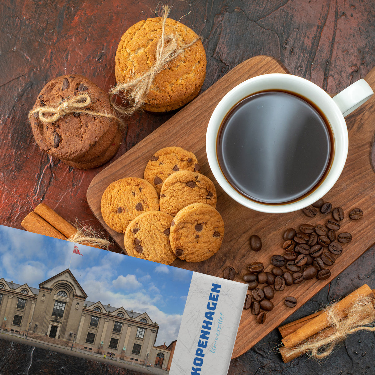 streetline Kopenhagen Universitet Panorama Souvenir Magnet