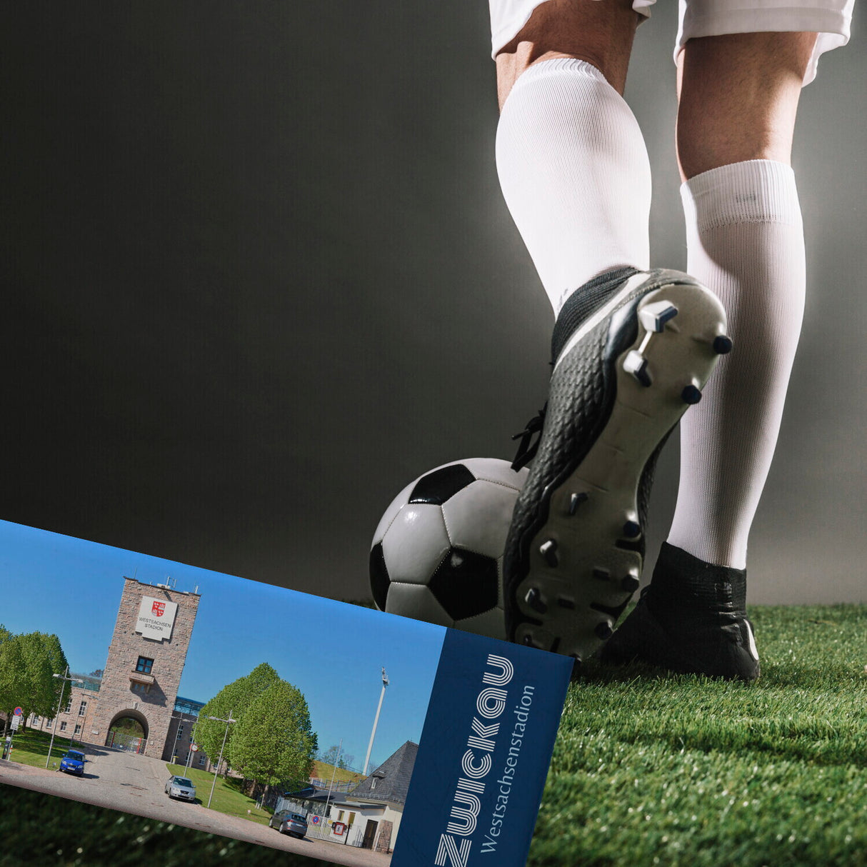 streetline Zwickau Westsachsenstadion Panorama Souvenir Magnet