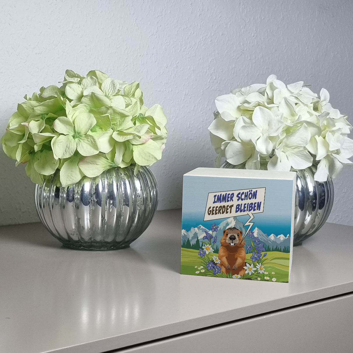 Murmeltier Spardose mit Spruch: Immer schön geerdet bleiben