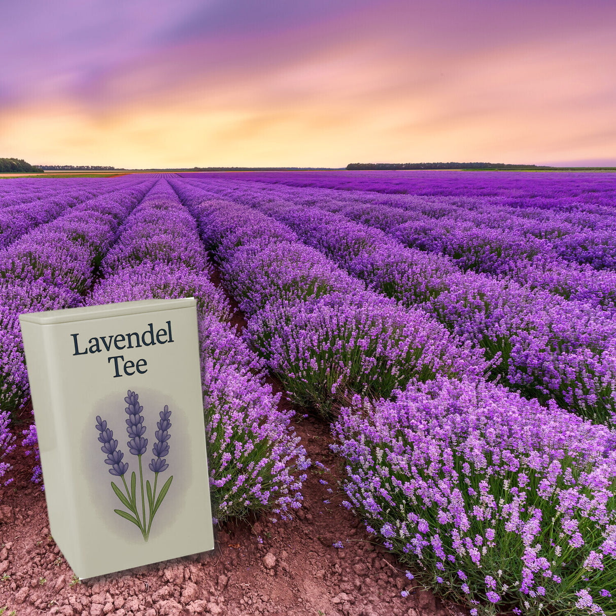 Sternenruhe Lavendel Tee Dose 900ml