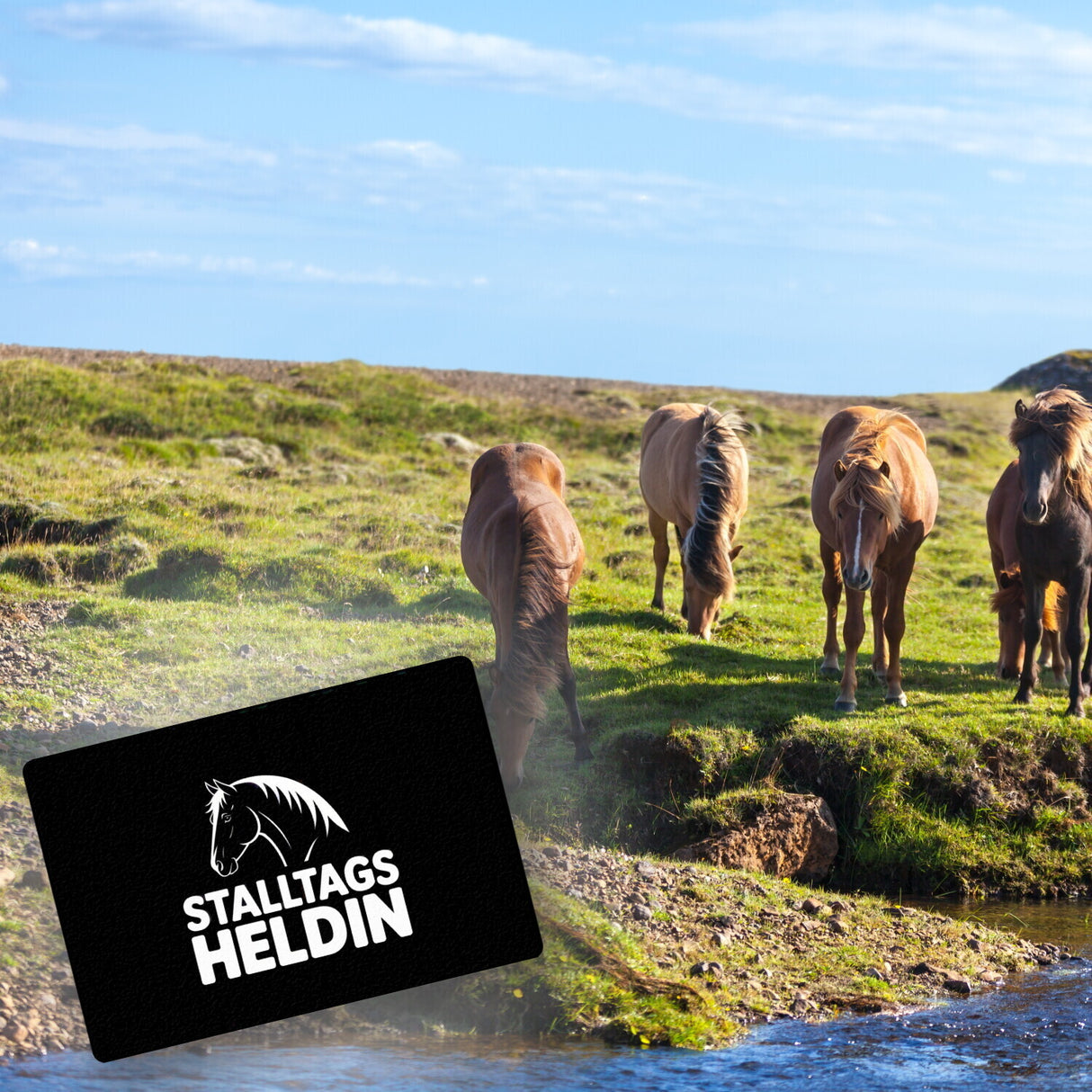 Pferdesilhouette Stalltags Heldin Fußmatte in 35x50 cm ohne Rand für Reiterinnen