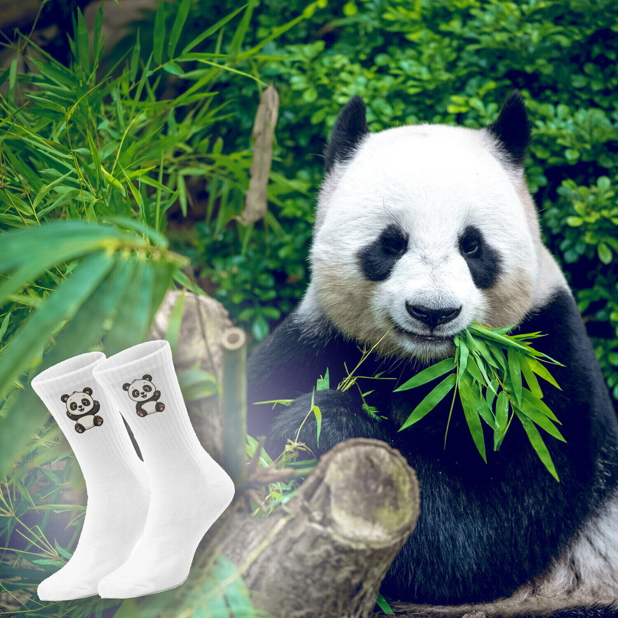 epicsocks Panda Liebe Panda Freunde Socken in 37-41 im Paar