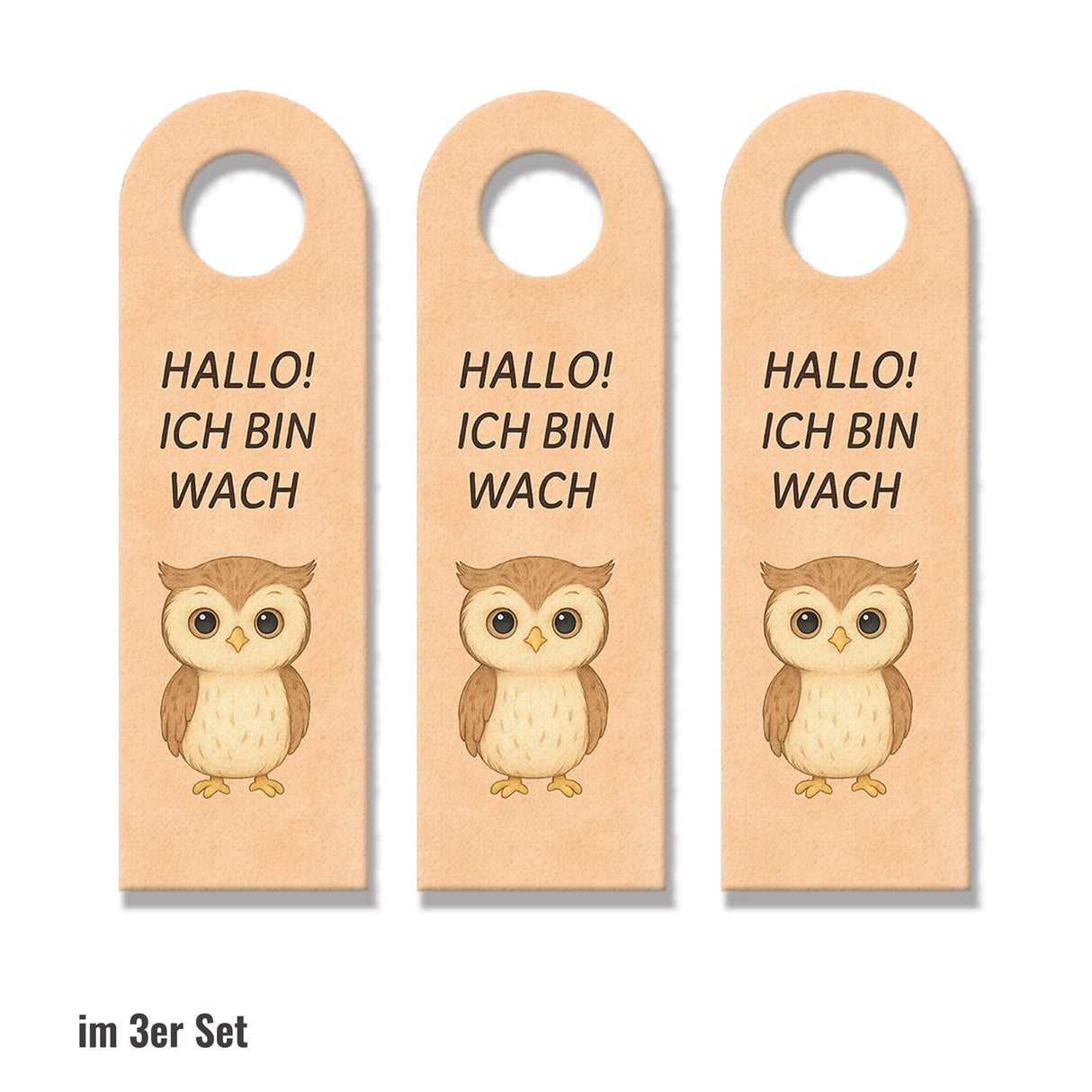 Hallo Ich bin wach Eule träumt Türhänger fürs Kinderzimmer