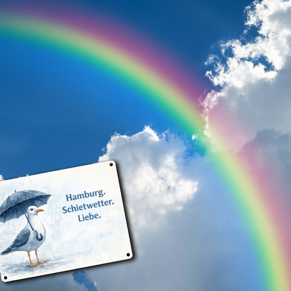 Möwe Hamburg Schietwetter Metallschild in 15x20 cm Norddeutschland