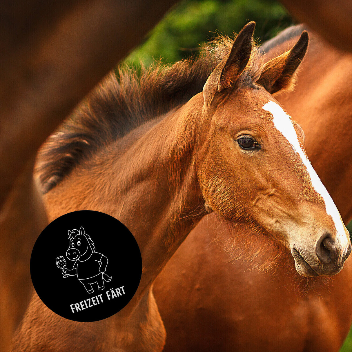 Pferd mit Wein Freizeit Färt Magnet