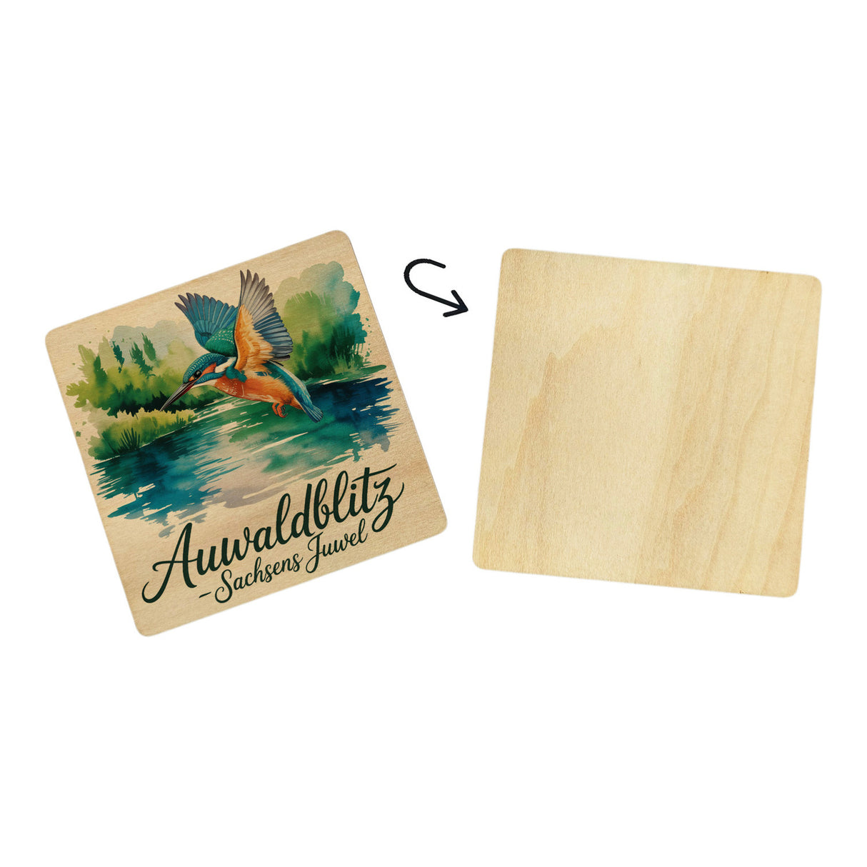 Region Sachsen Eisvogel 6er Set Untersetzer aus Holz - Auwaldblitz