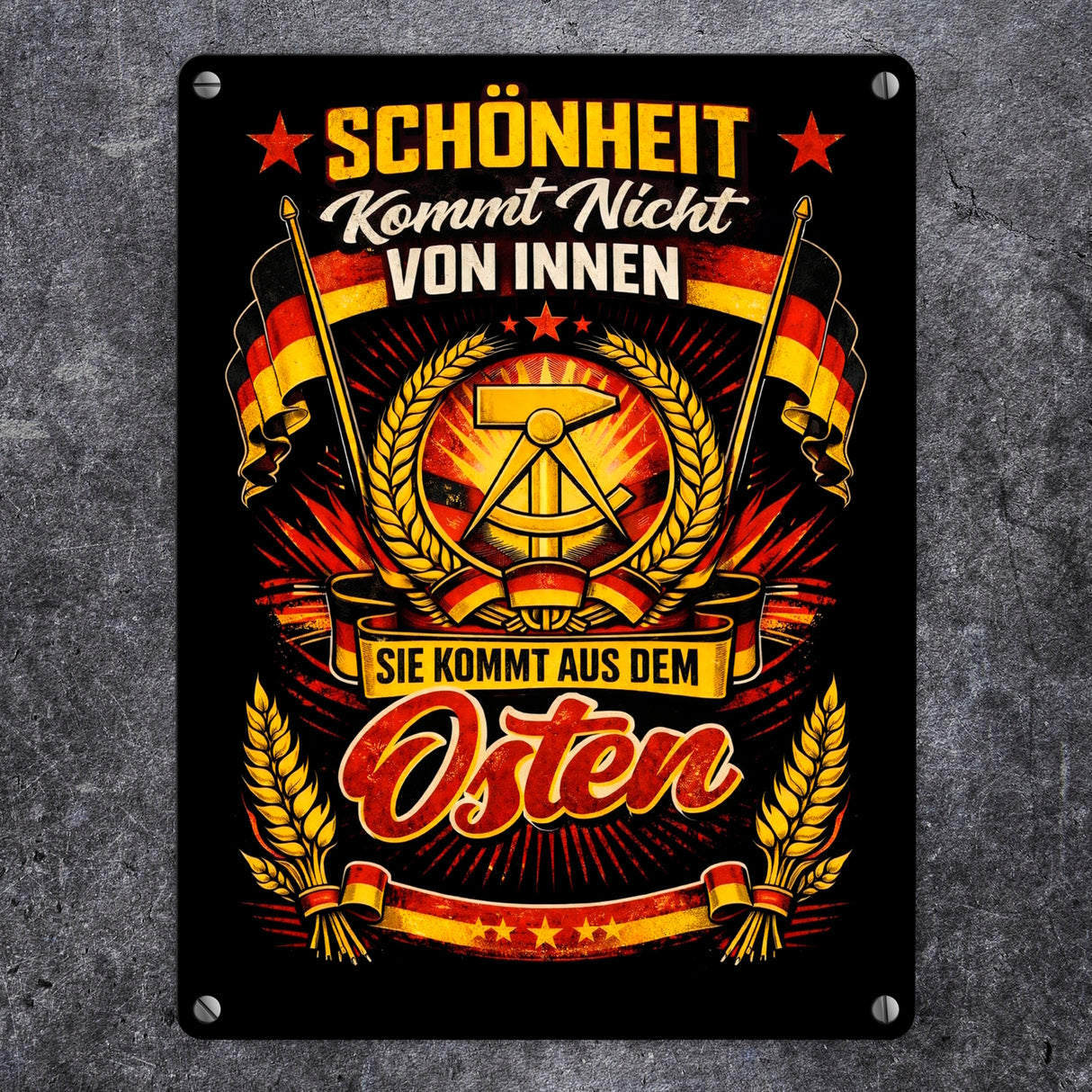 DDR - Schönheit kommt aus dem Osten Metallschild in 15x20 cm