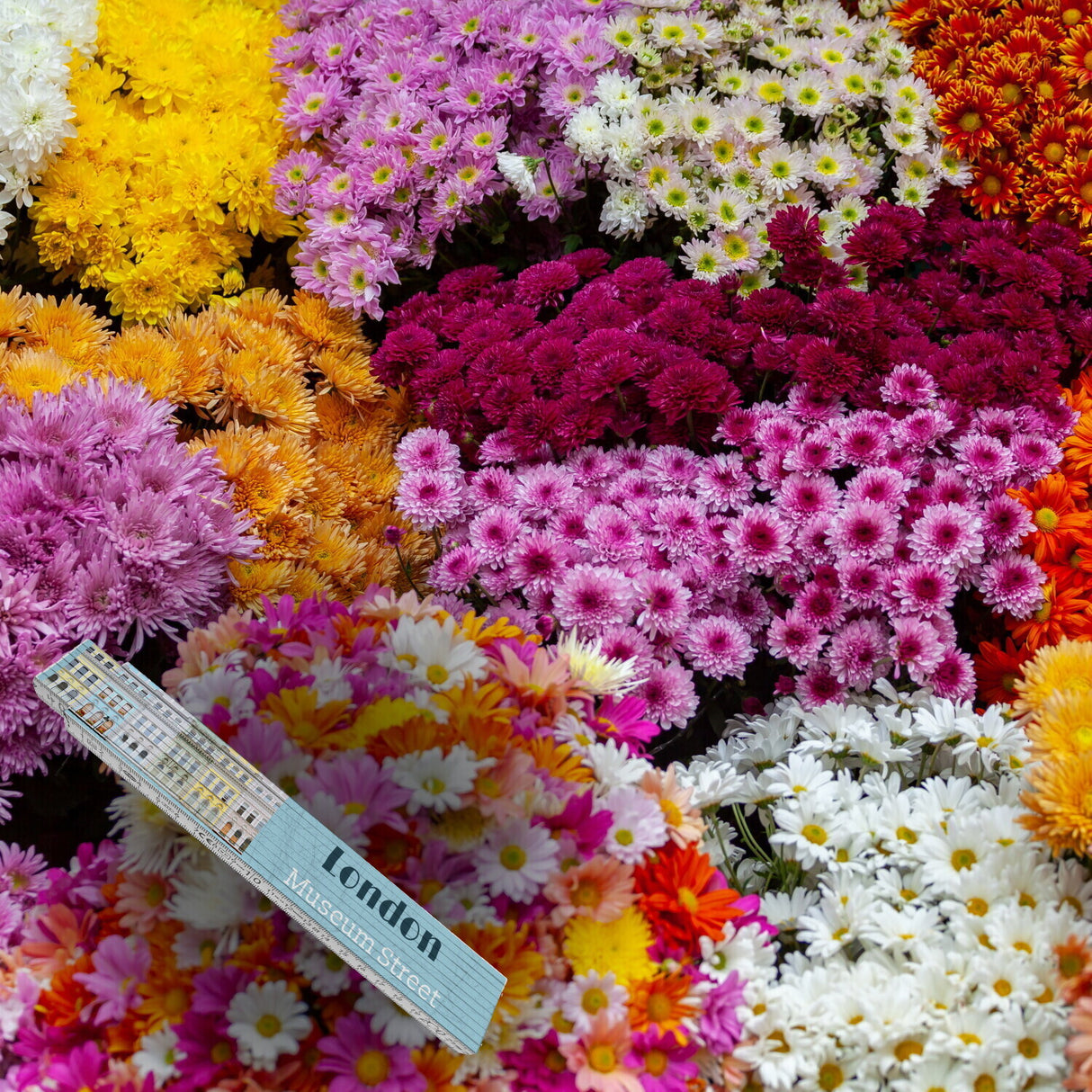 streetline London Museum Street Meterstab aus Holz