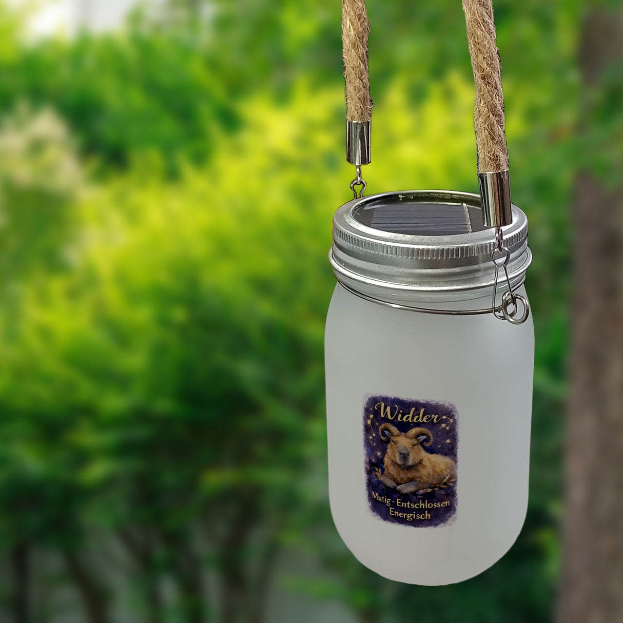 Widder Sternzeichen Cabybara Solarlicht für Astrologie Fans