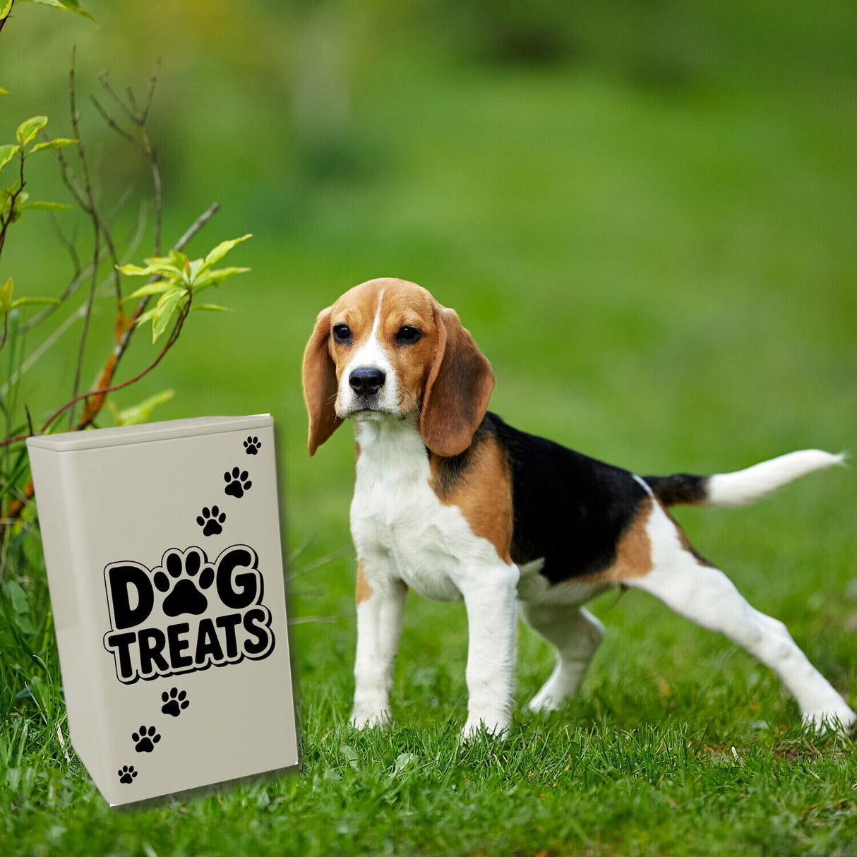 Dog Treats Dose 900ml mit Pfotenabdruck