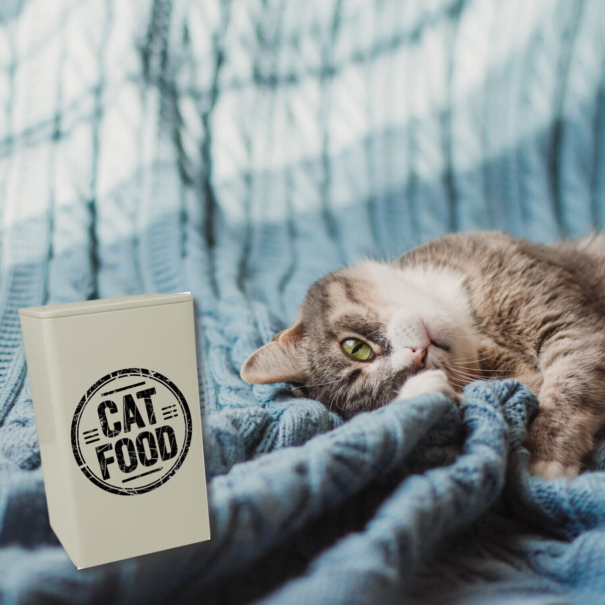 Cat Food Dose 900ml für Katzenhalter