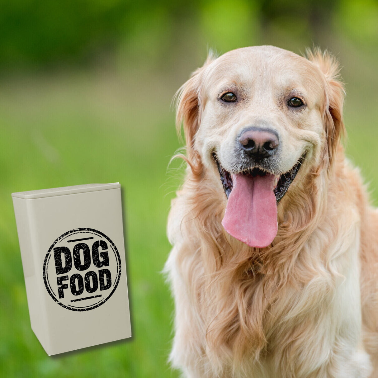 Dog Food Dose 900ml für Hundehalter