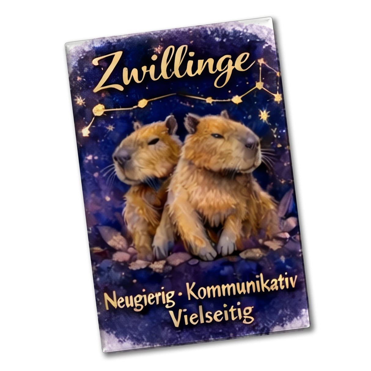 Zwilling Sternzeichen Cabybara Souvenir Magnet für Astrologie Fans