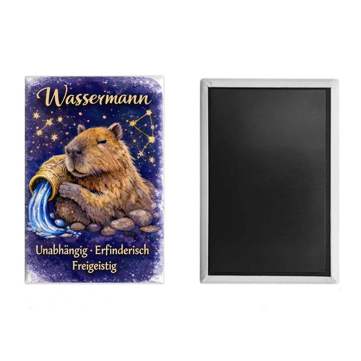 Wassermann Sternzeichen Cabybara Souvenir Magnet für Astrologie Fans