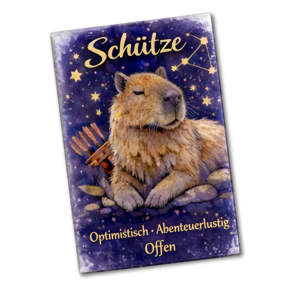 Schütze Sternzeichen Cabybara Souvenir Magnet für Astrologie Fans