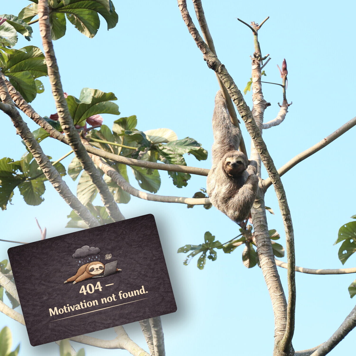 Faultier Laptop 404 Motivation not found Fußmatte in 35x50 cm ohne Rand