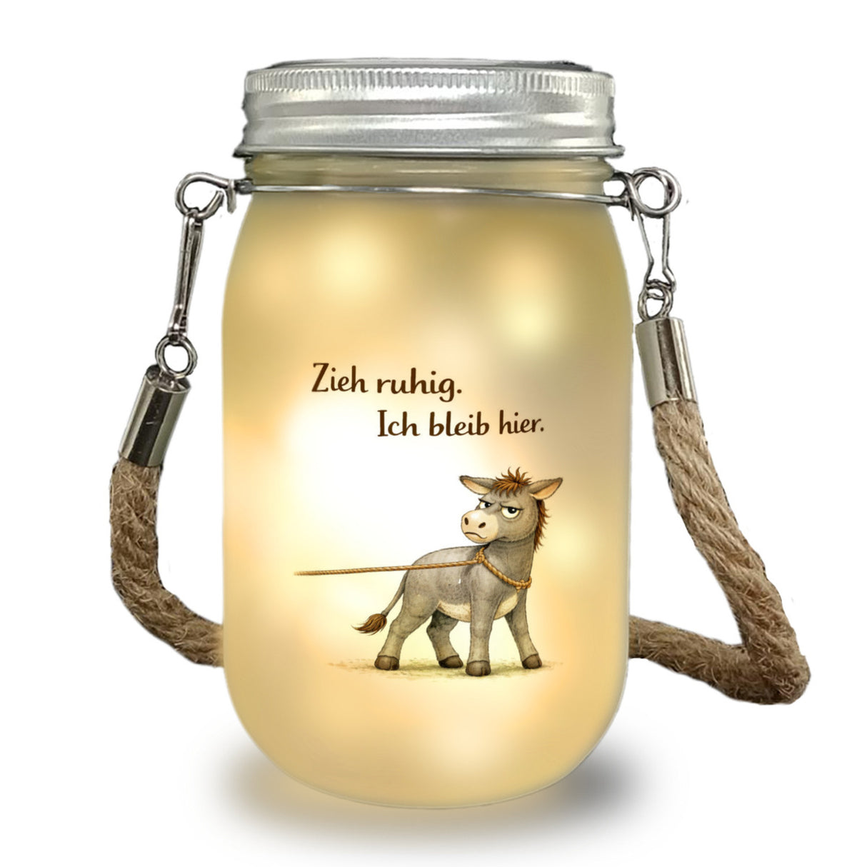 Eddi Esel Zieh ruhig Ich bleib hier Solarlicht für Eselfans