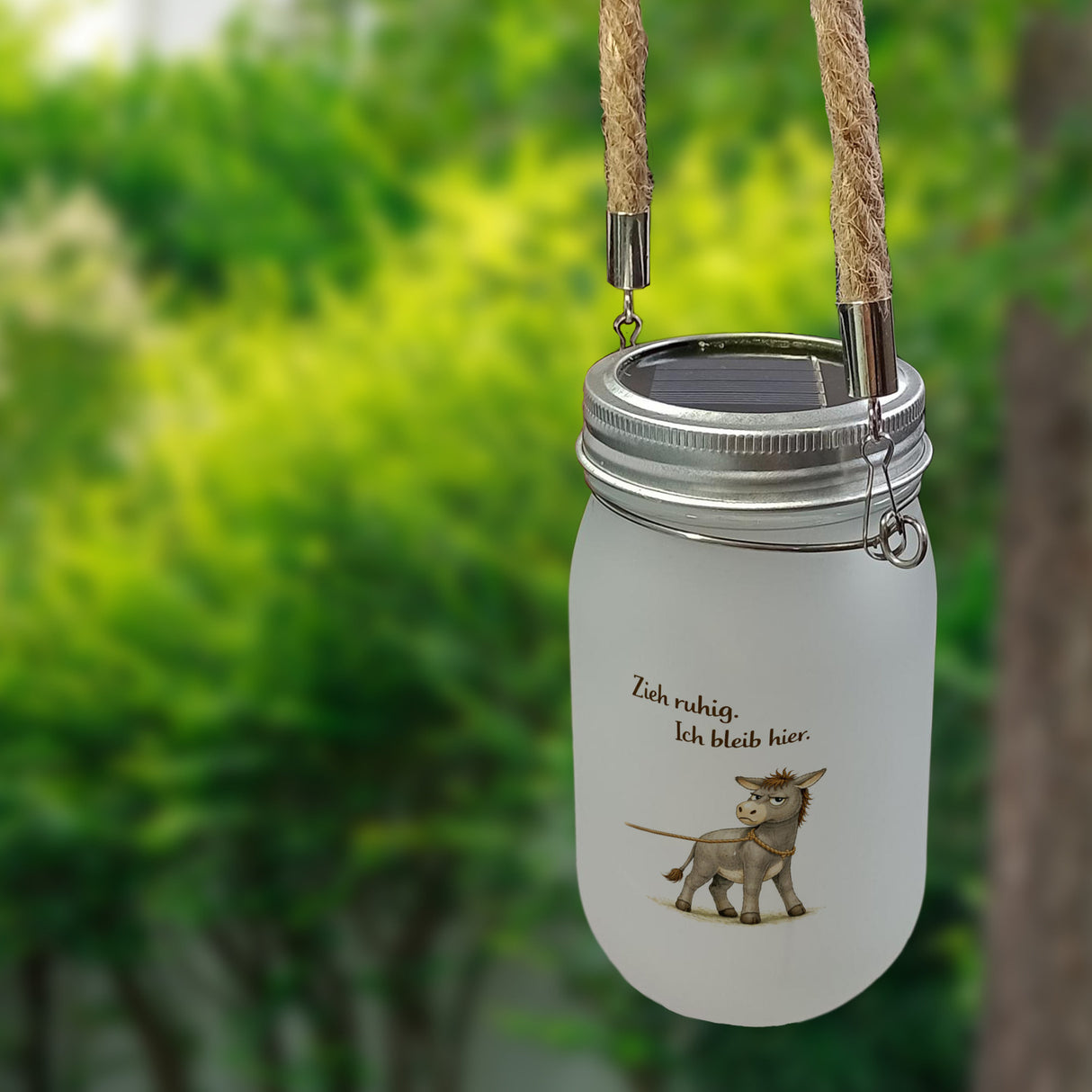 Eddi Esel Zieh ruhig Ich bleib hier Solarlicht für Eselfans