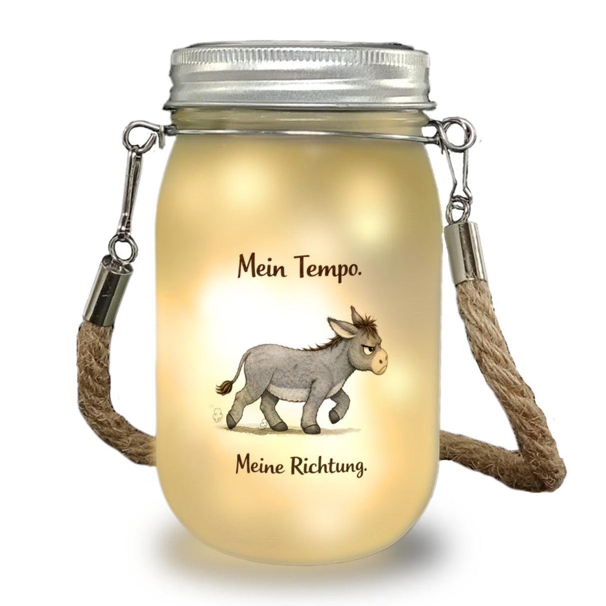 Eddi Esel Mein Tempo Meine Richtung Solarlicht für Tierfans