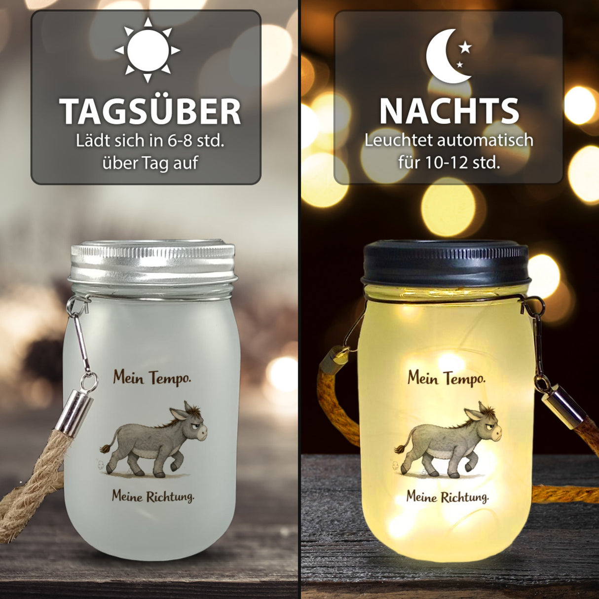 Eddi Esel Mein Tempo Meine Richtung Solarlicht für Tierfans