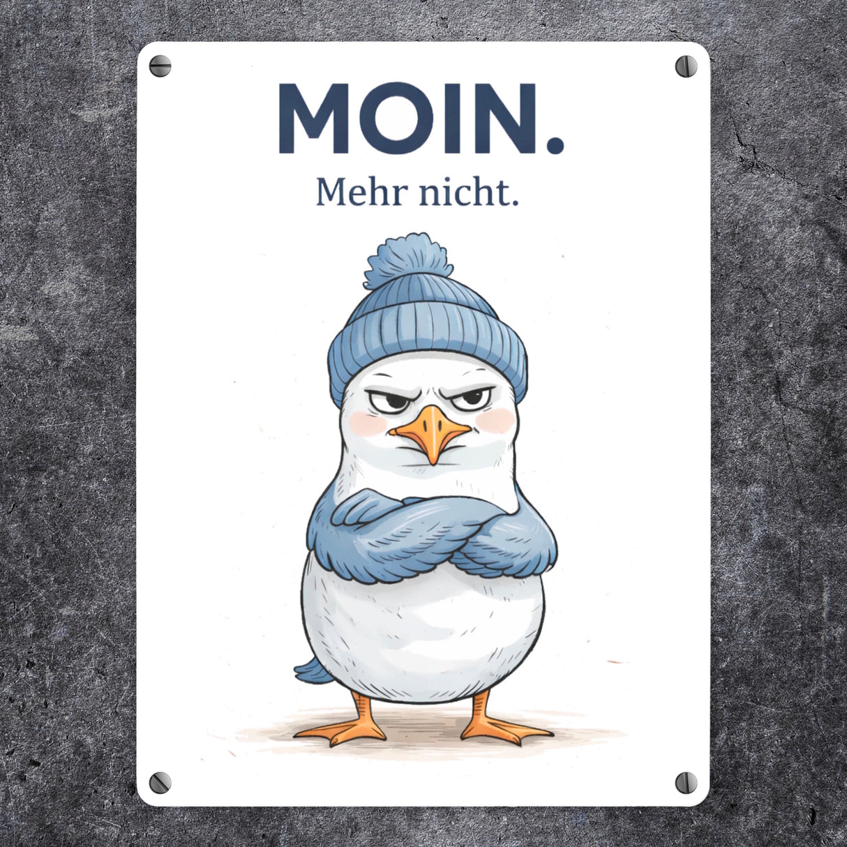 Manfred die Möwe Moin mehr nicht Metallschild in 15x20 cm für Küstenfans