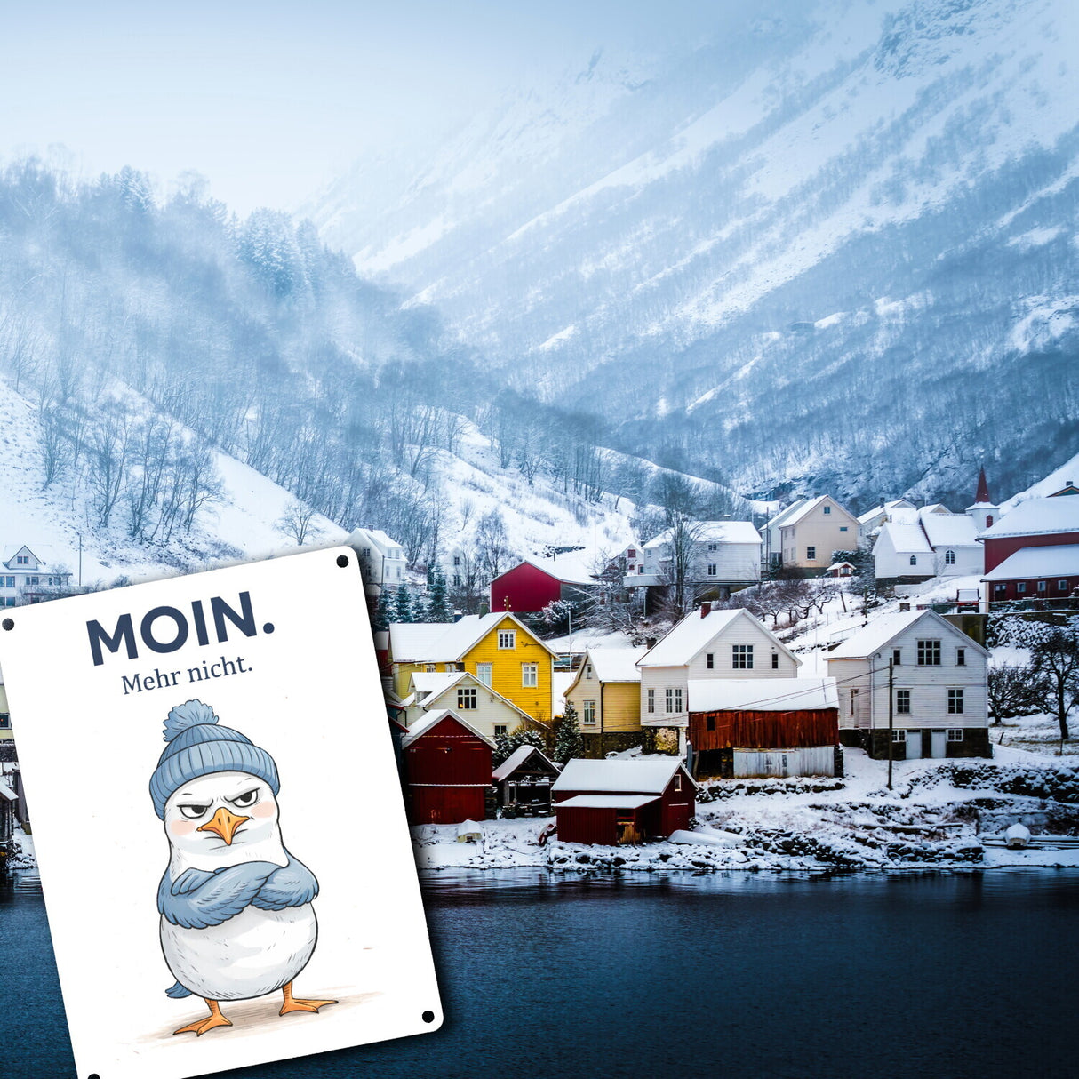 Manfred die Möwe Moin mehr nicht Metallschild in 15x20 cm für Küstenfans