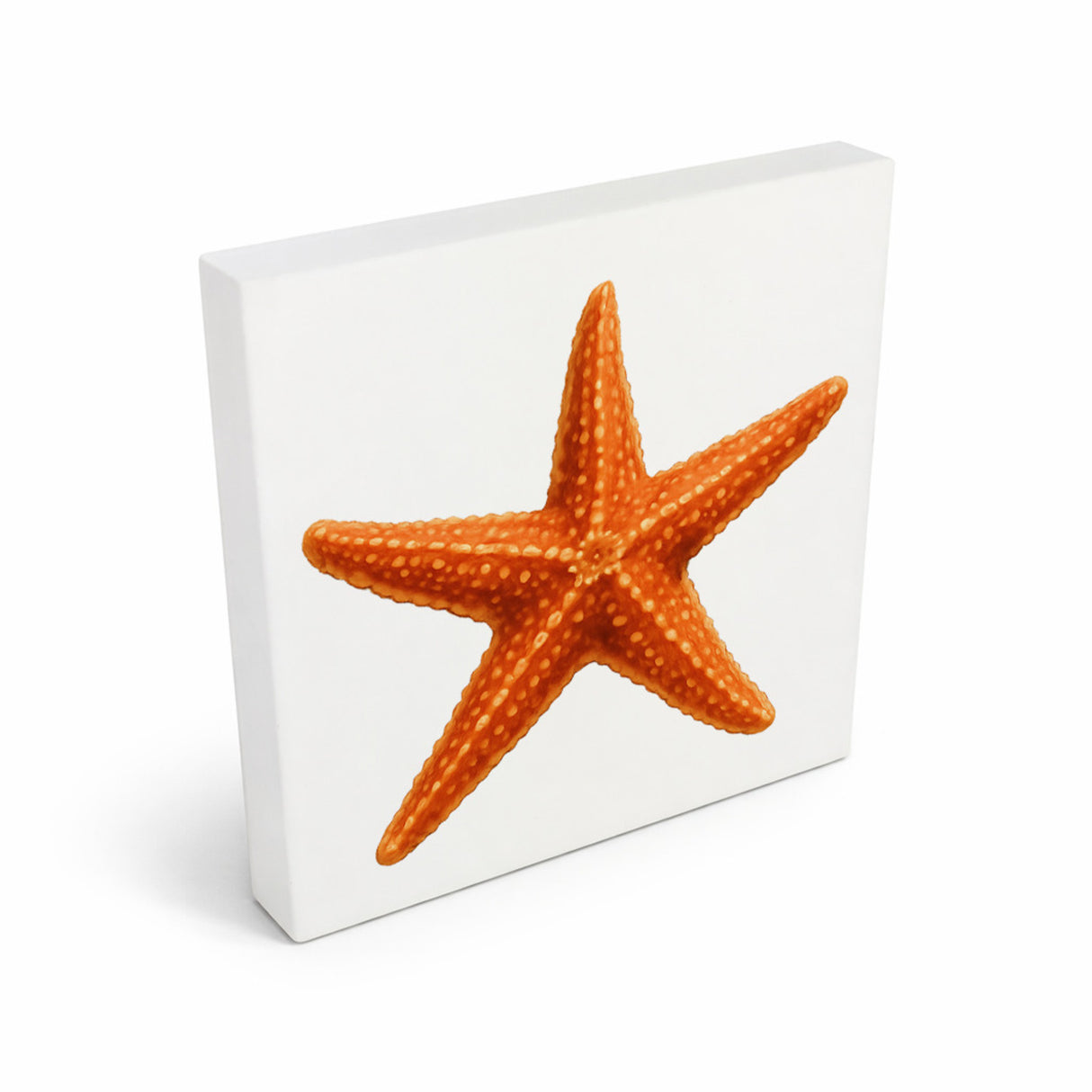 Wasserwelt Seestern Aquarell Holzbild in 10x10 cm zum Stellen oder Aufhängen