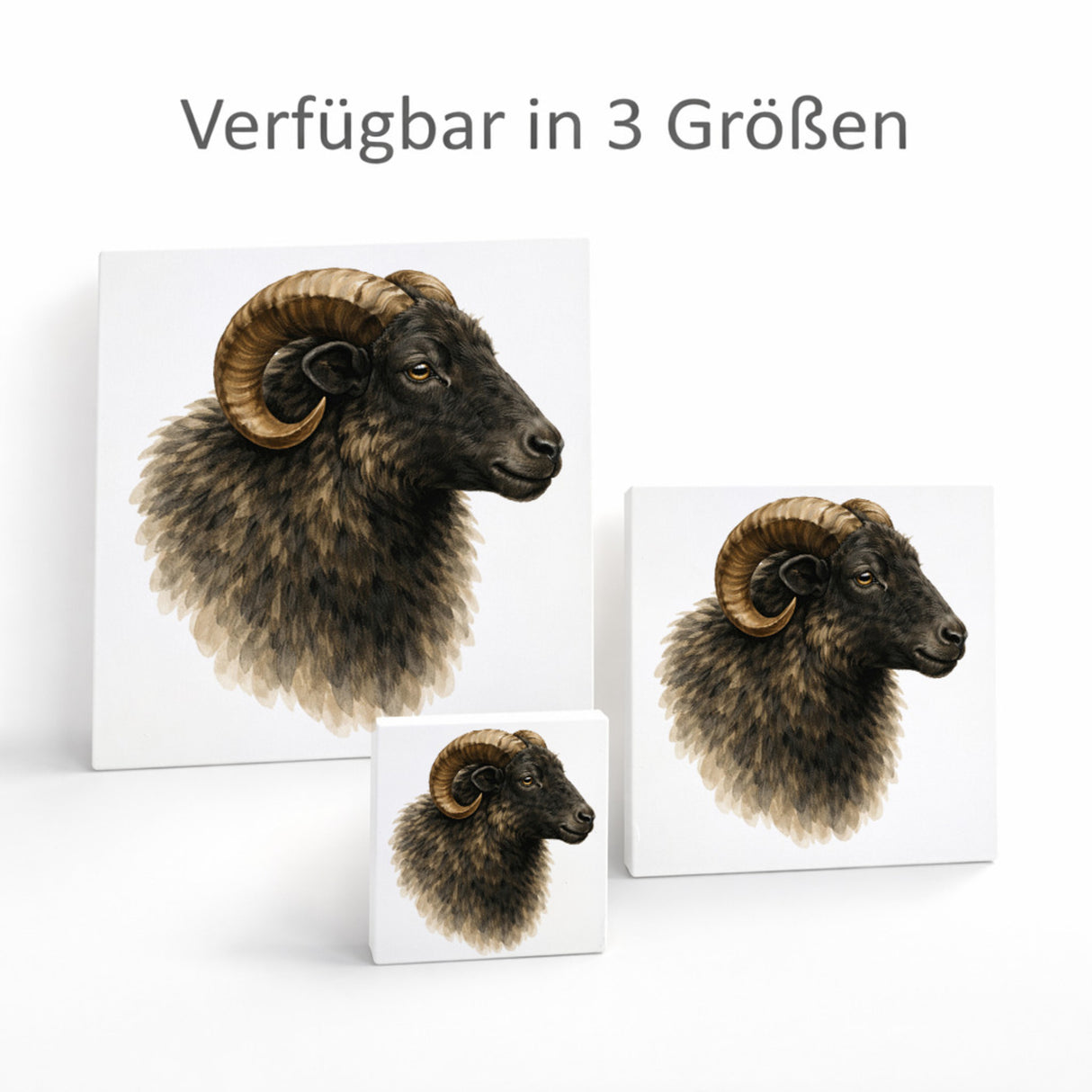 Flauschiger Charme Heideschnuckenkopf Holzbild in 10x10 cm zum Stellen oder Aufhängen