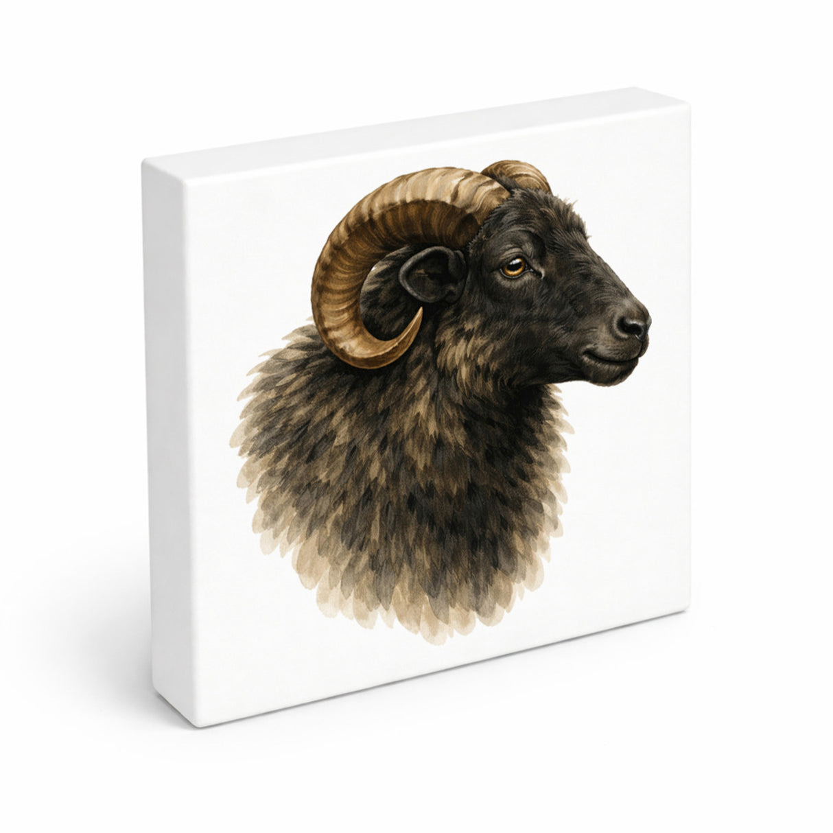 Flauschiger Charme Heideschnuckenkopf Holzbild in 10x10 cm zum Stellen oder Aufhängen