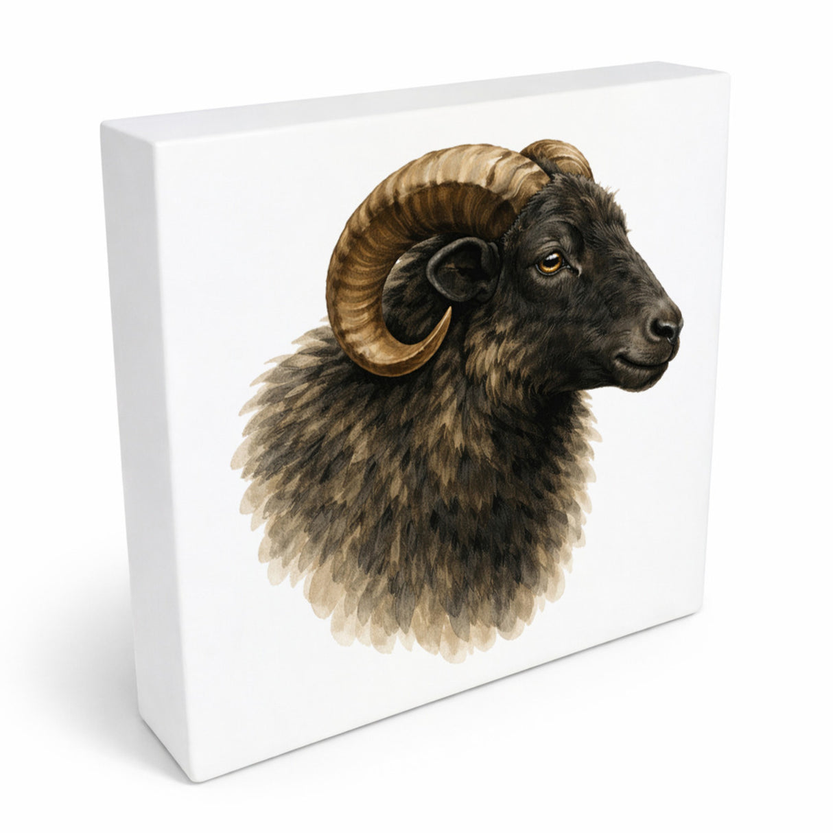 Flauschiger Charme Heideschnuckenkopf Holzbild in 10x10 cm zum Stellen oder Aufhängen