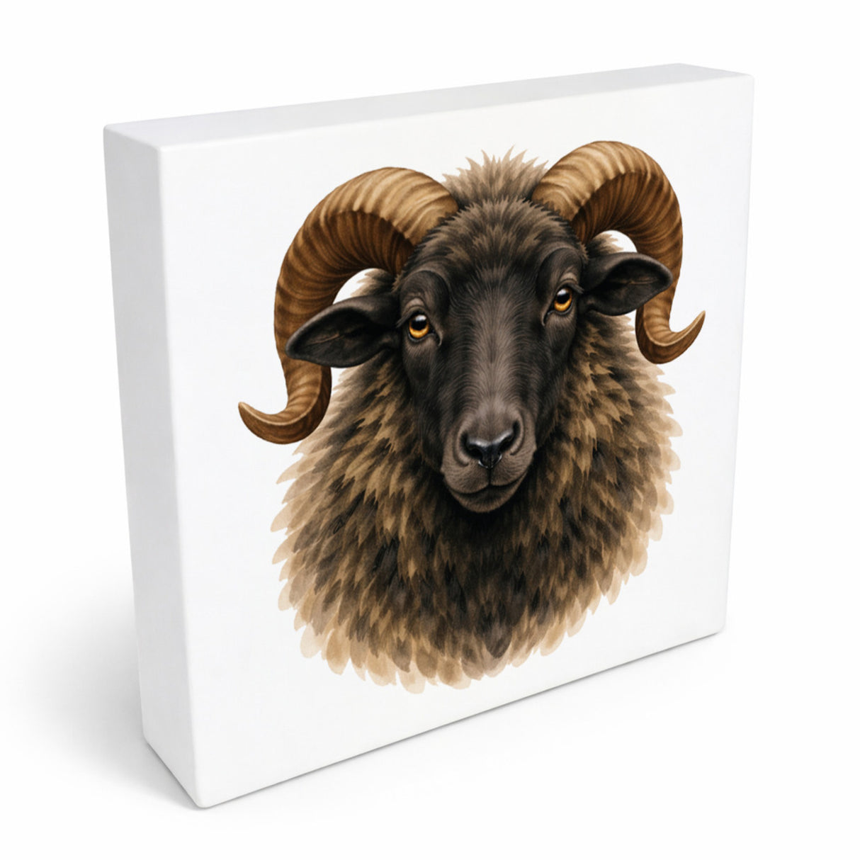 Flauschiger Charme Heideschnucke Holzbild in 10x10 cm zum Stellen oder Aufhängen