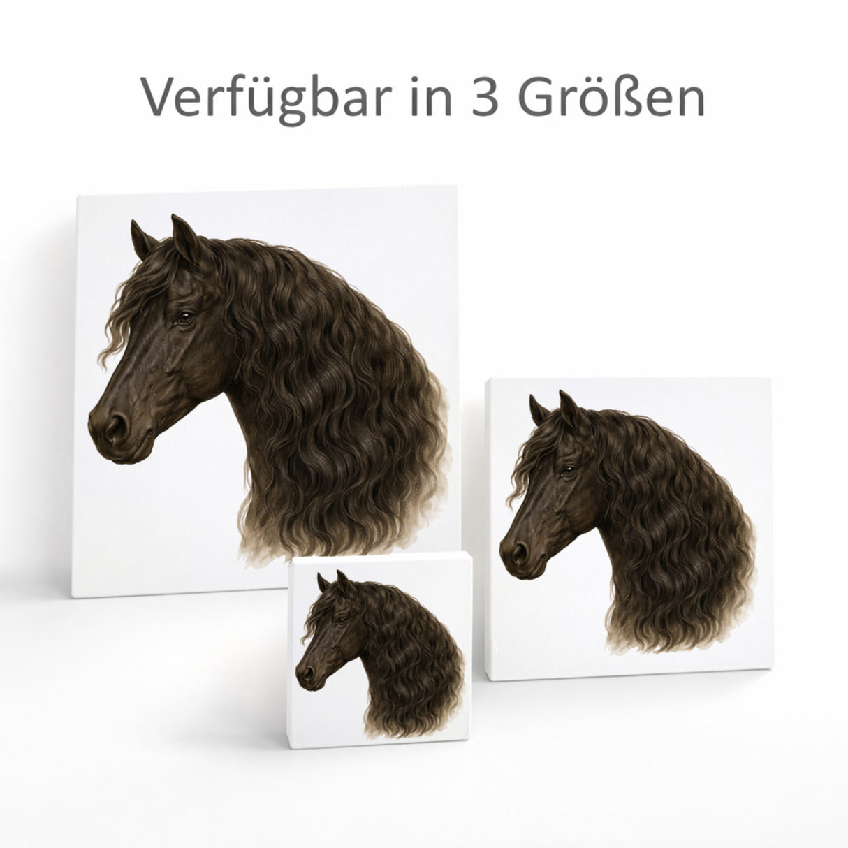 Prächtige Schönheiten Pferde Friese Pferdekopf Holzbild in 10x10 cm zum Stellen oder Aufhängen