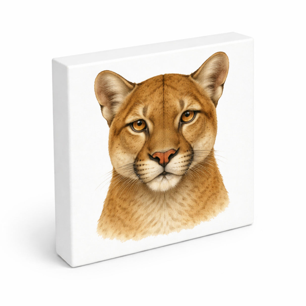 Raubtierblick Puma Porträt Holzbild in 10x10 cm zum Stellen oder Aufhängen