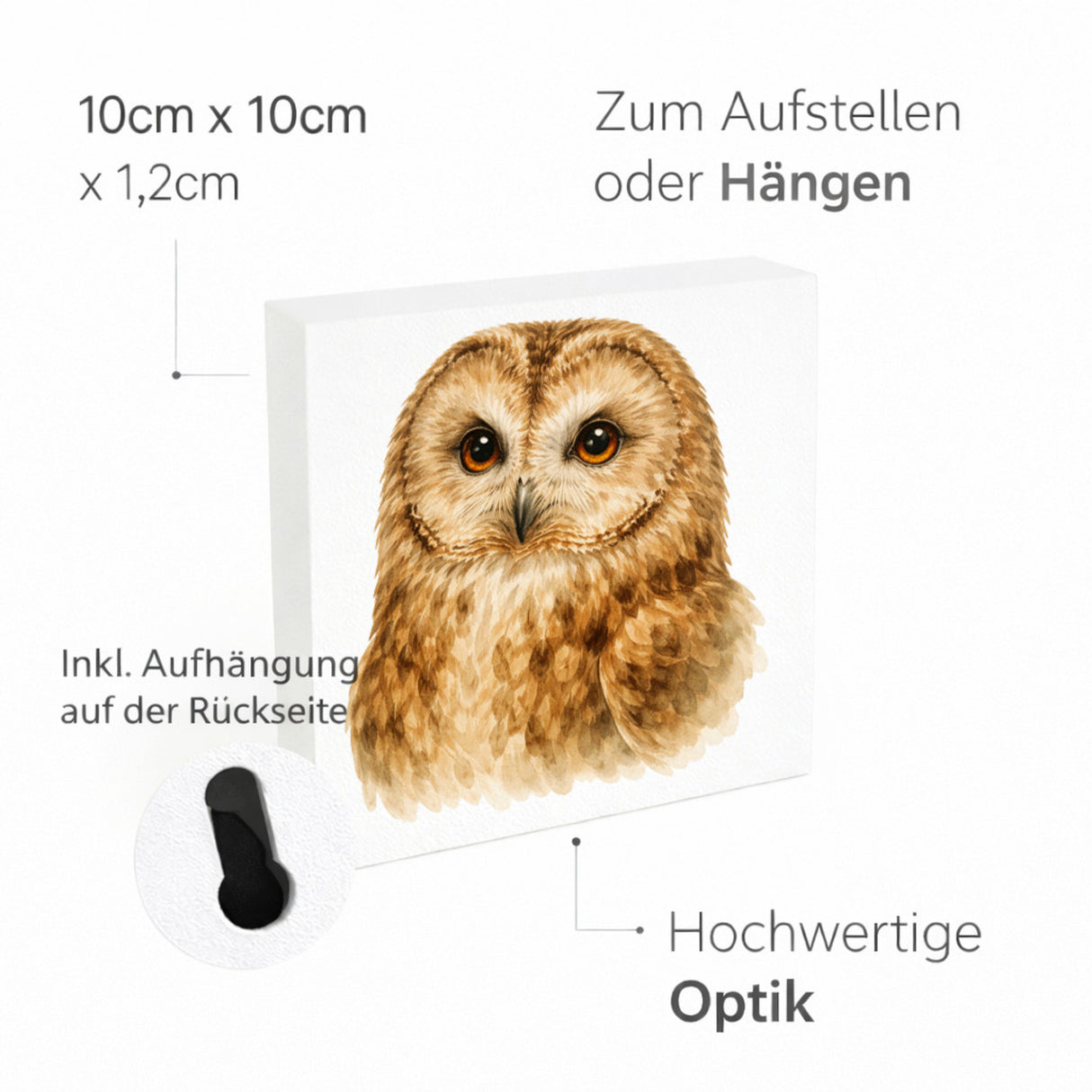 Luft Könige Eulen Porträt Holzbild in 10x10 cm zum Stellen oder Aufhängen