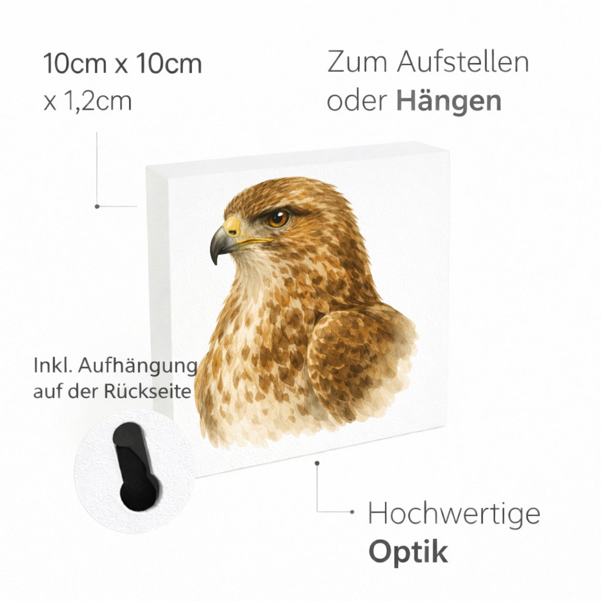 Luft Könige Bussard Porträt Holzbild in 10x10 cm zum Stellen oder Aufhängen