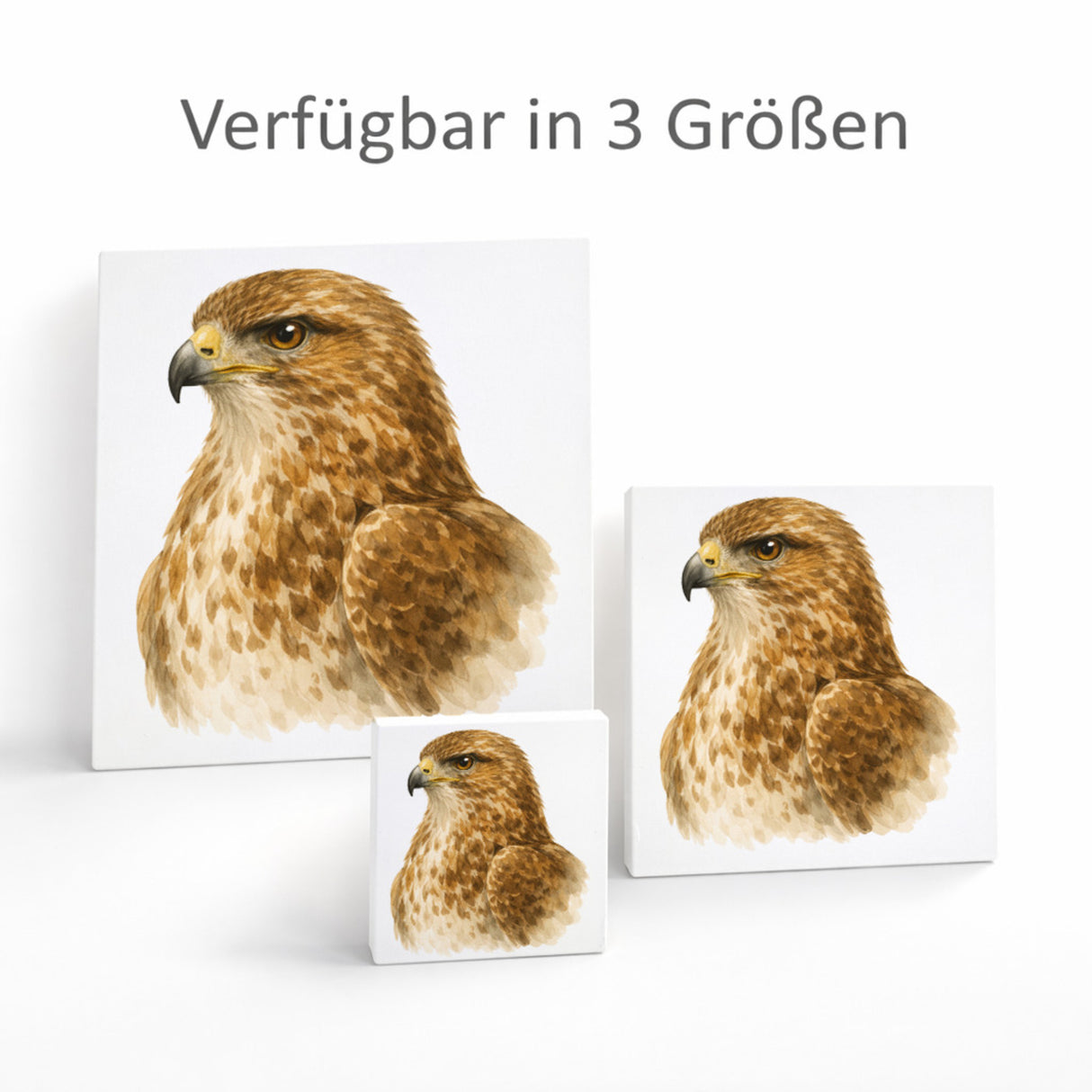 Luft Könige Bussard Porträt Holzbild in 10x10 cm zum Stellen oder Aufhängen