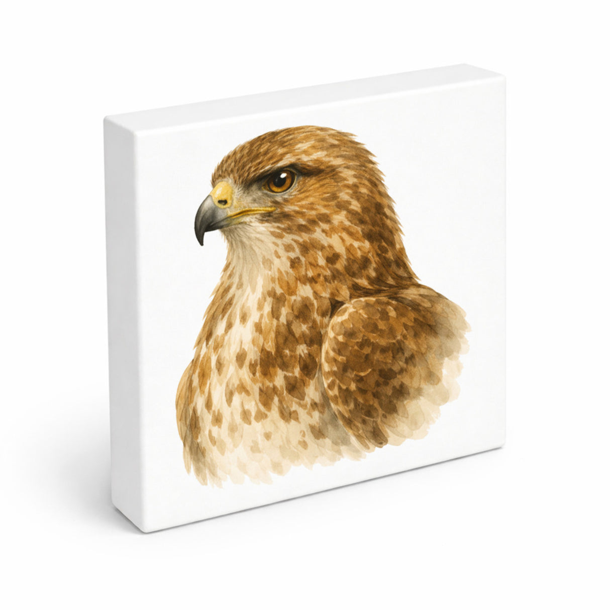 Luft Könige Bussard Porträt Holzbild in 10x10 cm zum Stellen oder Aufhängen