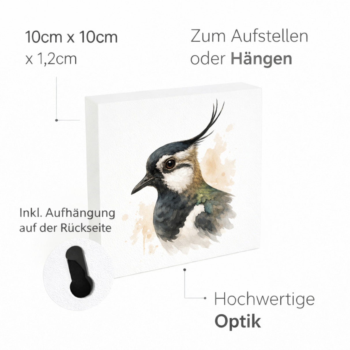 Vogelparade Kiebitz Porträt Holzbild in 10x10 cm zum Stellen oder Aufhängen