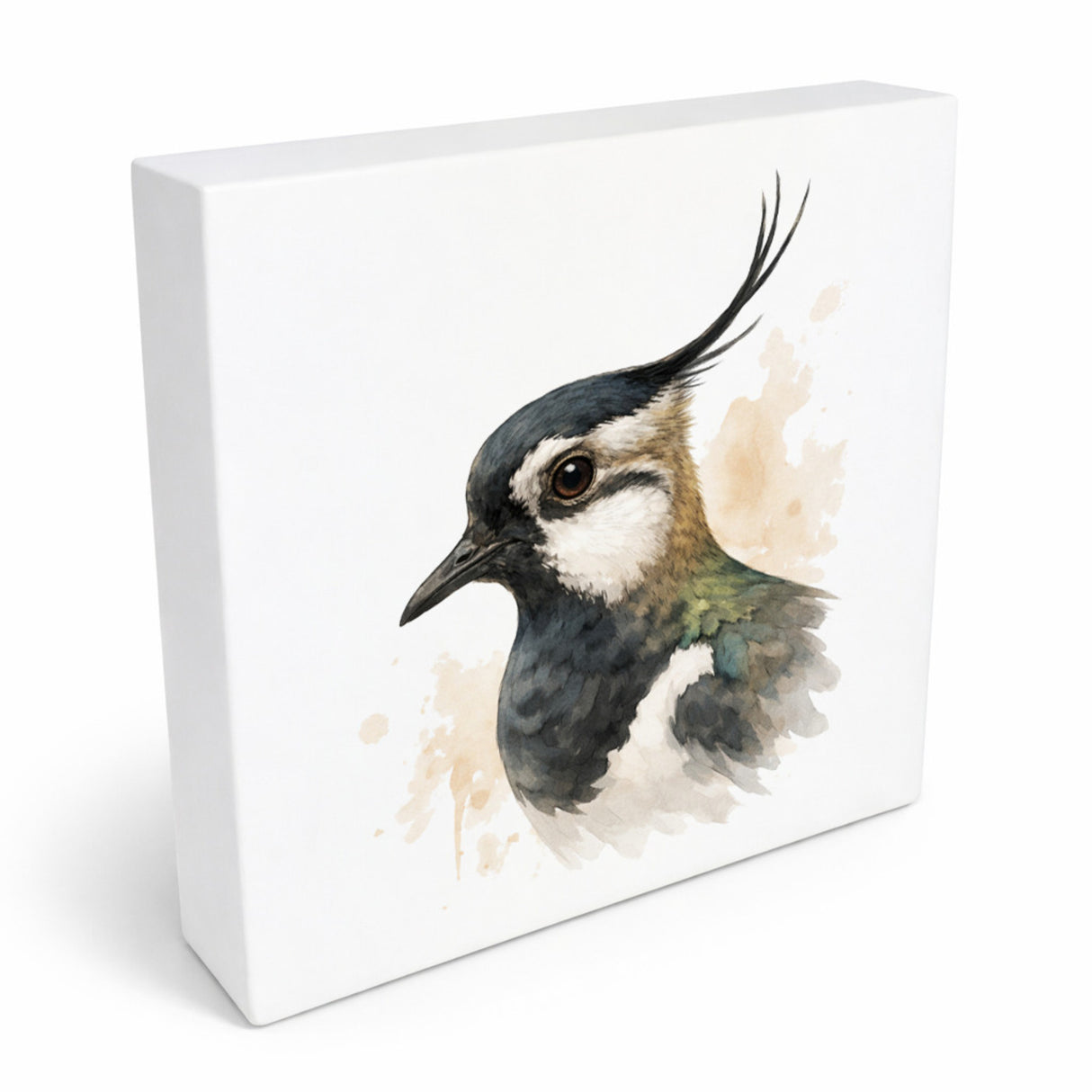 Vogelparade Kiebitz Porträt Holzbild in 10x10 cm zum Stellen oder Aufhängen