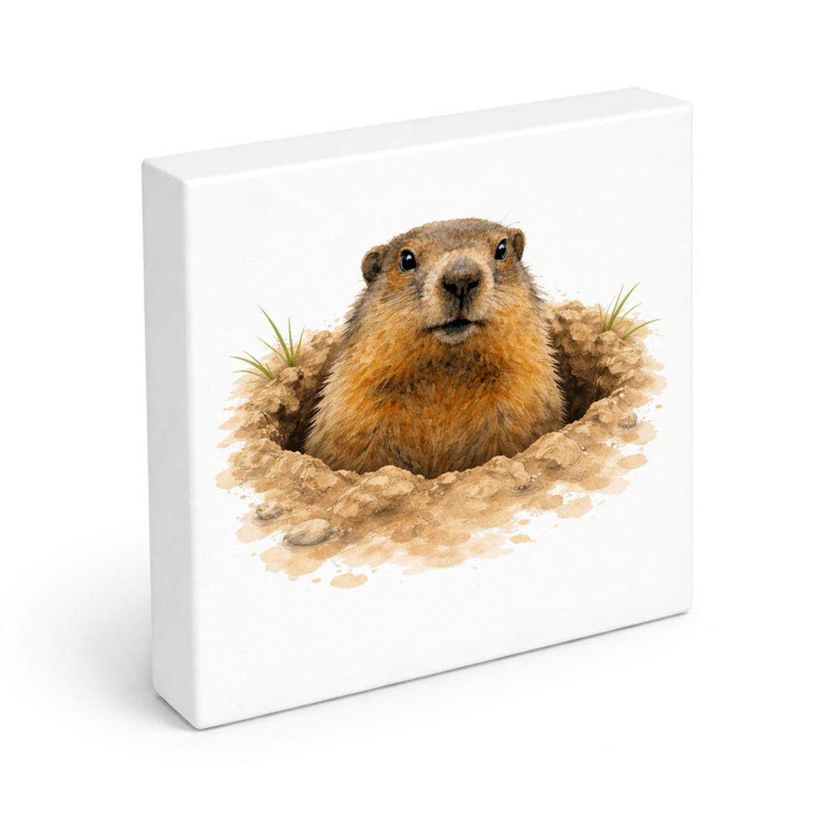 Murmeltier-Charm Murmeltier im Erdloch Holzbild in 10x10 cm zum Stellen oder Aufhängen