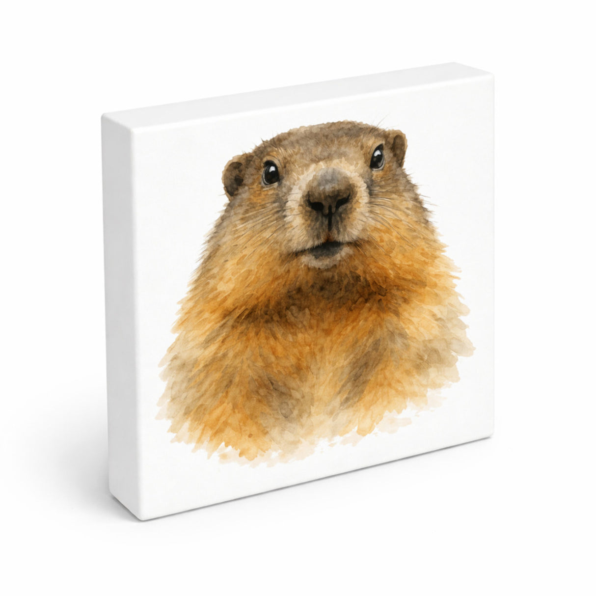 Murmeltier-Charm Murmeltier Porträt Holzbild in 10x10 cm zum Stellen oder Aufhängen