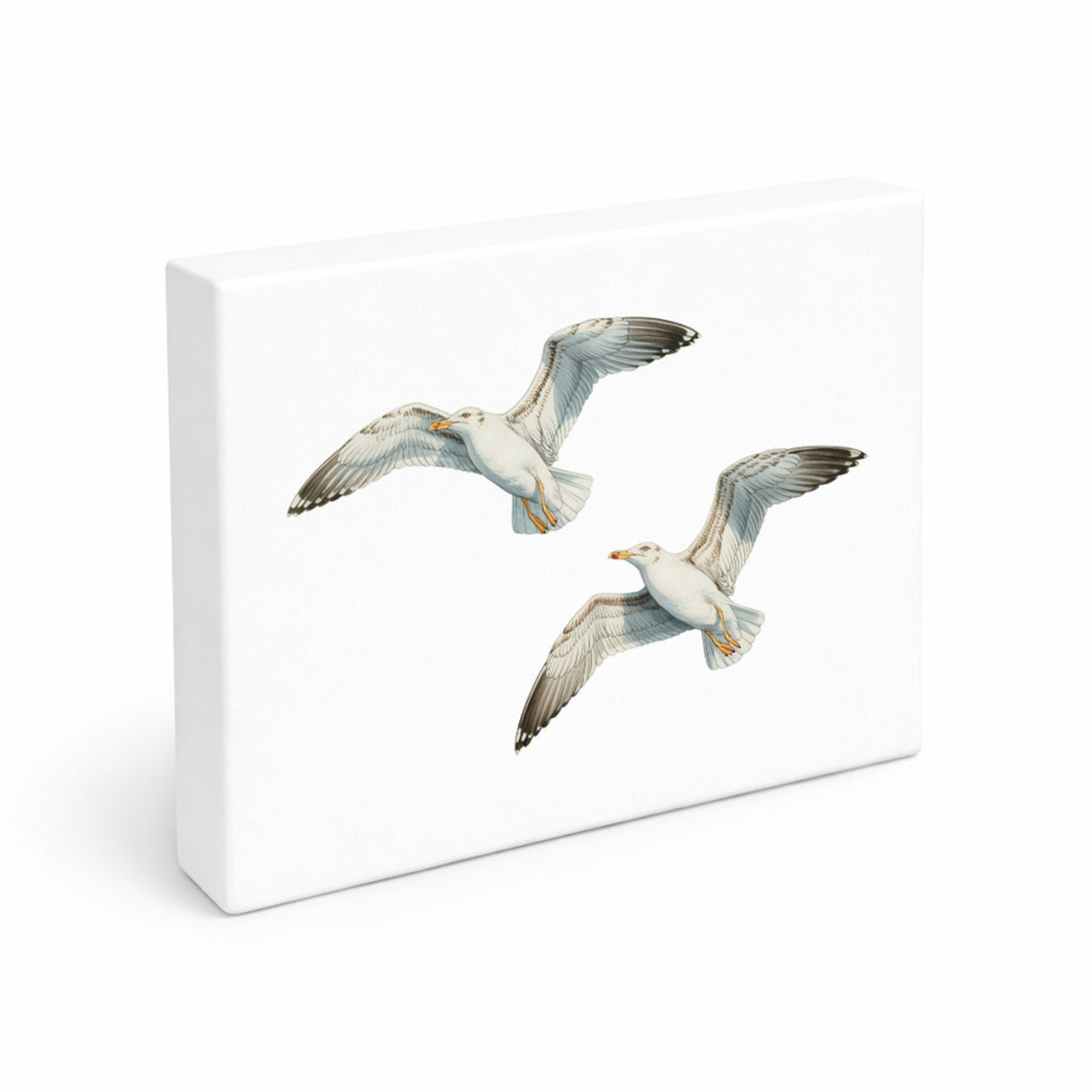 Möwen im Flug Holzbild in 20x15 cm zum Stellen oder Aufhängen maritim