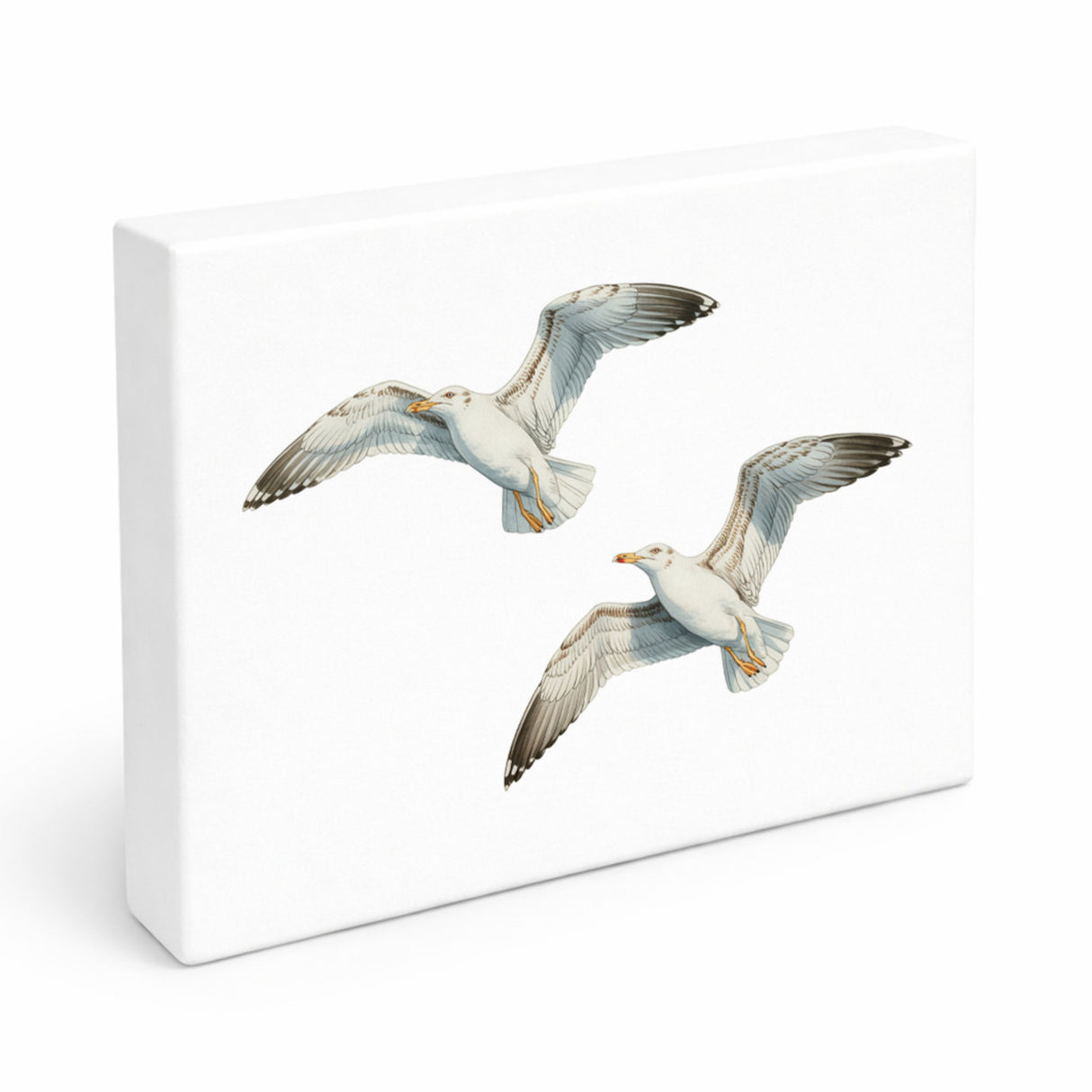 Möwen im Flug Holzbild in 20x15 cm zum Stellen oder Aufhängen maritim